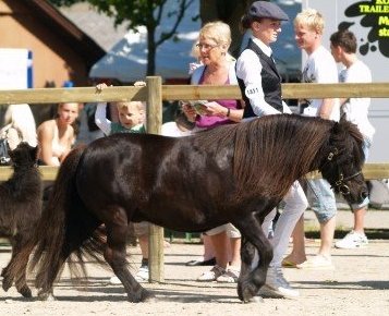 Dreams Roskilde skridt