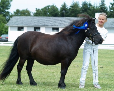 Sabrina til kåring 2009